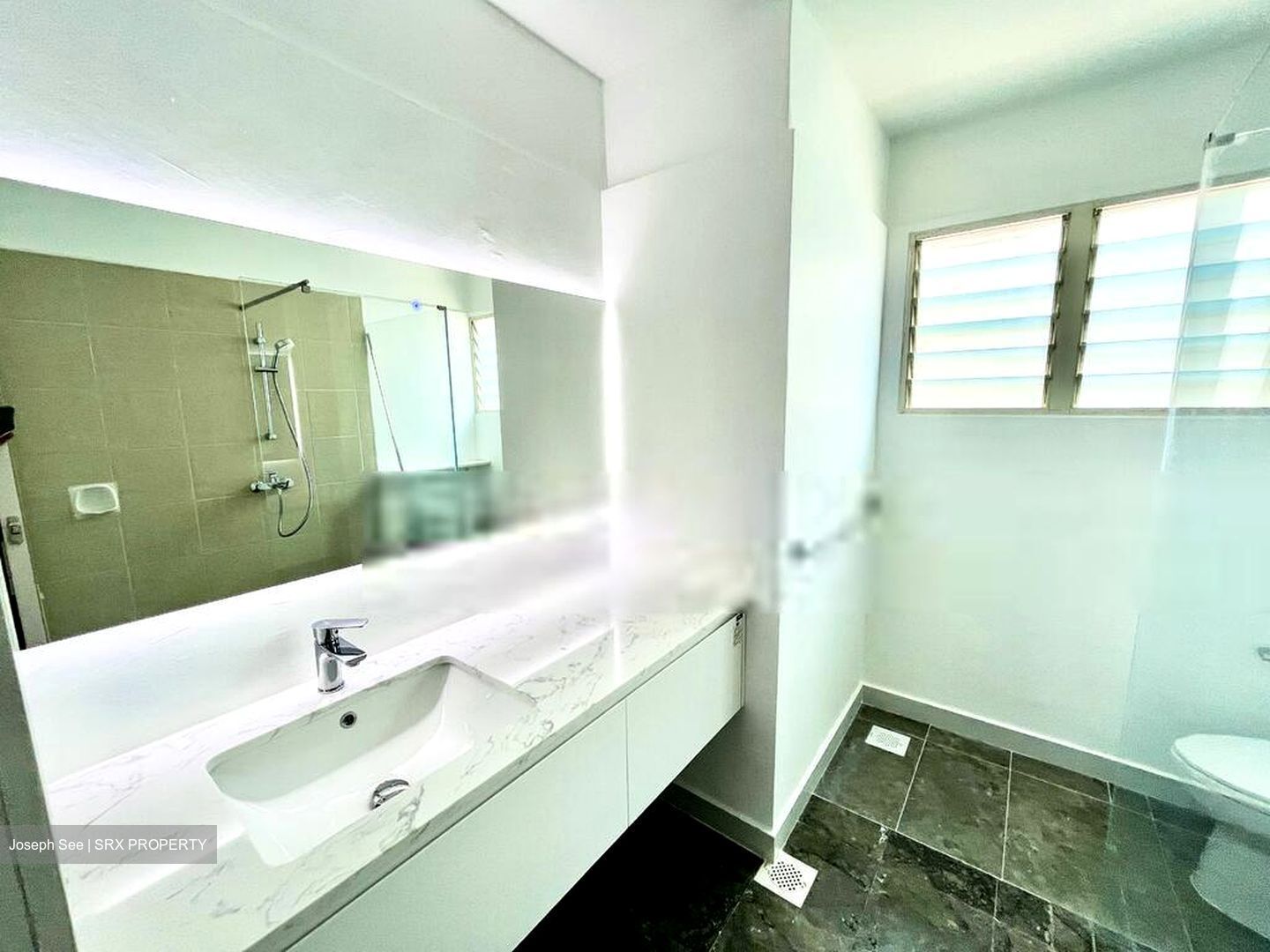 Sommerville Park (D10), Condominium #568393221